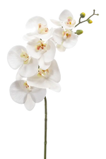 Künstliche Orchidee - Chen Lu, 86 cm, Kunstblume von aplanta, in Weiß, für drinnen