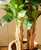 Künstlicher Bananenbaum - Can | 210 cm