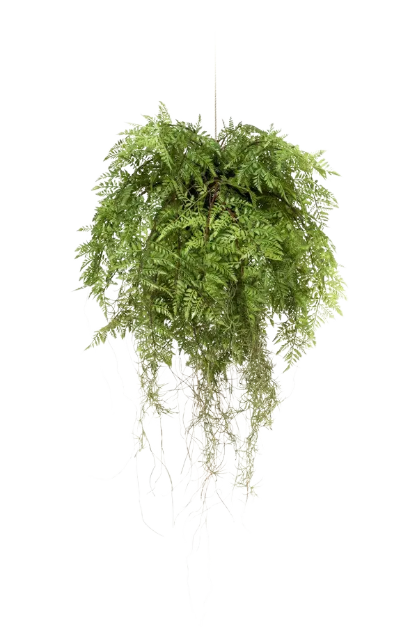Künstlicher Hänge-Farn - Leopold, 55 cm, Kunstpflanze von aplanta, in Natur, für drinnen