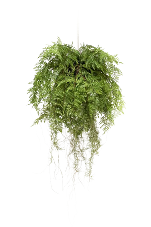 Künstlicher Hänge-Farn - Leopold, 55 cm, Kunstpflanze von aplanta, in Natur, für drinnen