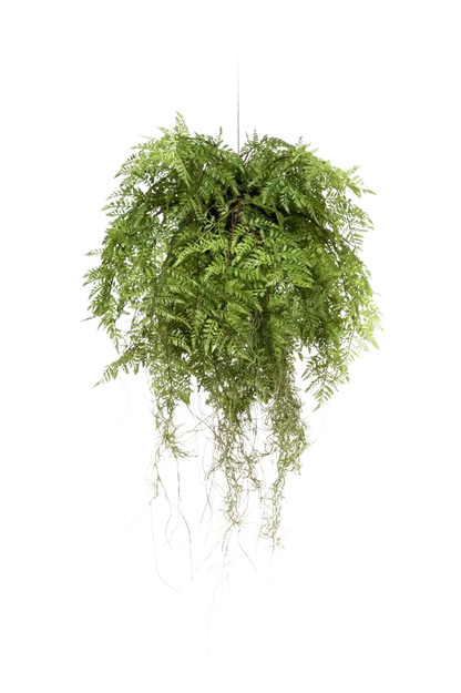 Künstlicher Hänge-Farn - Leopold, 55 cm, Kunstpflanze von aplanta, in Natur, für drinnen