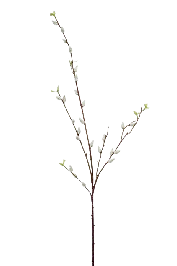 Hochwertige Kunstpflanze | Künstlicher Weide Zweig - Willi | 95 cm von 🌱aplanta