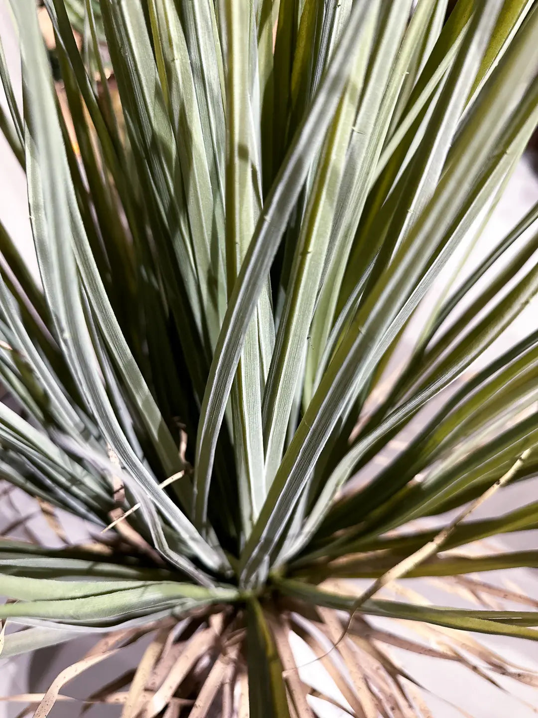 Künstliche Yucca Palme - Kristina | 110 cm | Kunstbaum von aplanta