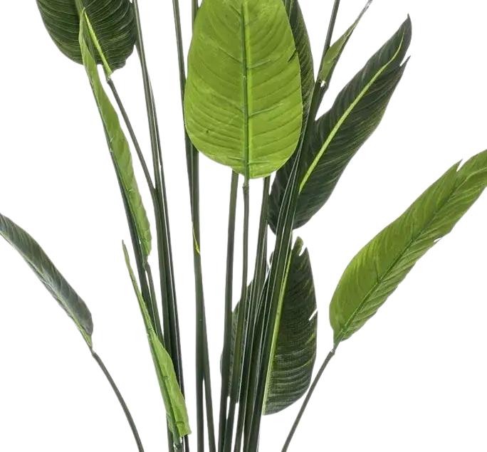 Künstliche Strelitzia - Christian | 150 cm