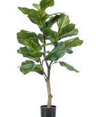 Künstlicher Ficus Lyrata - Mona auf transparentem Hintergrund mit echt wirkenden Kunstblättern.