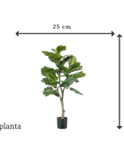 Künstlicher Ficus Lyrata - Mona | 90 cm