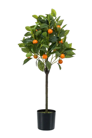 Künstlicher Orangenbaum - Julia auf transparentem Hintergrund mit echt wirkenden Kunstblättern. Diese Kunstpflanze gehört zur Gattung/Familie der "Orangenbaum" bzw. "Kunst-Orangenbaum".