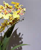 Künstliche Orchidee - Lilli | 45 cm | Kunstblume von aplanta