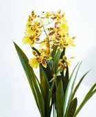 Künstliche Orchidee - Lilli | 45 cm