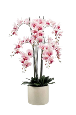 Künstliche Orchidee - Leo auf transparentem Hintergrund mit echt wirkenden Kunstblättern. Diese Kunstpflanze gehört zur Gattung/Familie der "Orchideen" bzw. "Kunst-Orchideen".