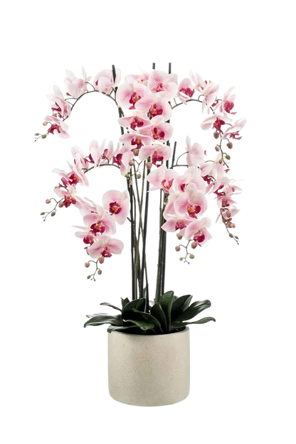 Künstliche Orchidee - Leo auf transparentem Hintergrund mit echt wirkenden Kunstblättern. Diese Kunstpflanze gehört zur Gattung/Familie der "Orchideen" bzw. "Kunst-Orchideen".