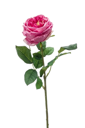 Hochwertige Hortensie künstlich auf transparentem Hintergrund mit echt wirkenden Kunstblättern in natürlicher Anordnung. Künstliche Rose - Charlotte hat die Farbe Altes Pink und ist 60 cm hoch. | aplanta Kunstpflanzen