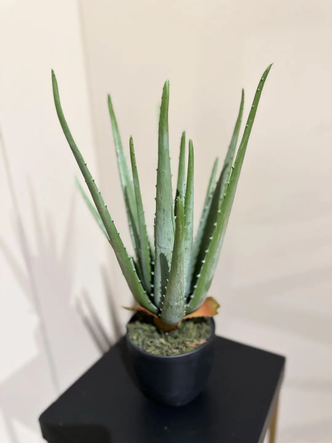 Künstliche Aloe - Penelope, 35 cm, Kunstpflanze von aplanta, im schwarzen Topf, in Natur, für drinnen