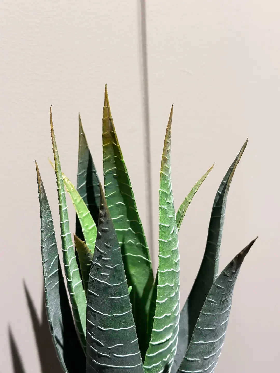 Künstliche Aloe - Patricia | 23 cm | Kunstpflanze von aplanta