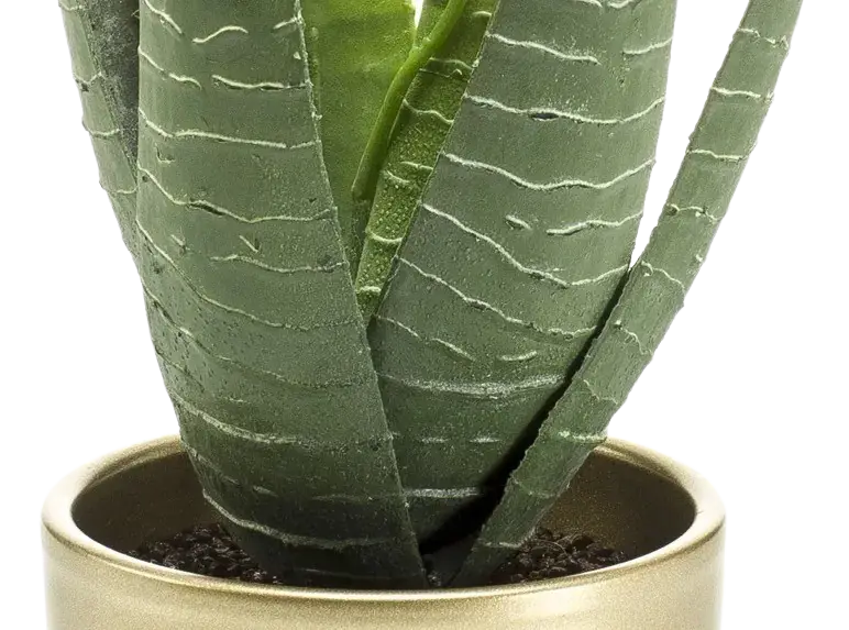 Künstliche Aloe - Patricia | 30 cm auf transparentem Hintergrund, als Ausschnitt fotografiert, damit die Details der Kunstpflanze bzw. des Kunstbaums noch deutlicher zu erkennen sind.