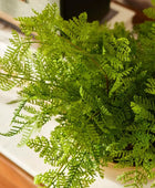 Künstlicher Farn - Gustav | 40 cm