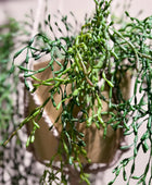 Künstliche Rhipsalis - Karla | 90 cm | Kunstpflanze von aplanta