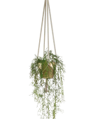 Künstliche Rhipsalis - Karla auf transparentem Hintergrund mit echt wirkenden Kunstblättern in natürlicher Anordnung. Künstliche Rhipsalis - Karla hat die Farbe Grün und ist 90 cm hoch. | aplanta Kunstpflanzen