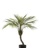 Künstliche Bergpalme - Nelly auf transparentem Hintergrund mit echt wirkenden Kunstblättern. Diese Kunstpflanze gehört zur Gattung/Familie der 
