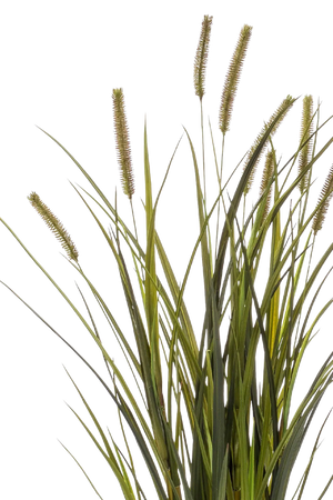 Künstliches Gras - Patrizia | 100 cm auf transparentem Hintergrund, als Ausschnitt fotografiert, damit die Details der Kunstpflanze bzw. des Kunstbaums noch deutlicher zu erkennen sind.