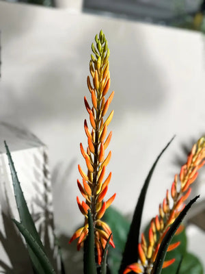 Künstliche Aloe - Paulina | 80 cm | Kunstpflanze von aplanta