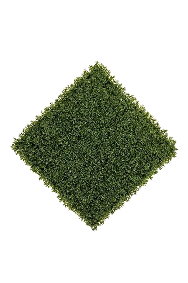 Künstliche Zypressen Matte - Rubeus auf transparentem Hintergrund mit echt wirkenden Kunstblättern in natürlicher Anordnung. Künstliche Zypressen Matte - Rubeus hat die Farbe Grün | aplanta Kunstpflanzen