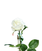 Künstliche Rose - Alexandros | 66 cm