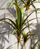 Künstlicher Drachenbaum - Minor | 100 cm
