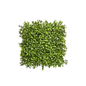 Hochwertige Kunstpflanze | Künstliche Buchsbaum Matte - Edita | 25x25 cm von 🌱aplanta