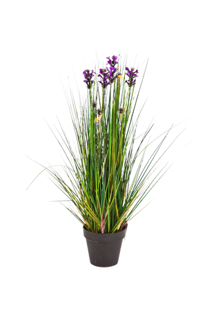 Künstlicher Lavendel - Emilie auf transparentem Hintergrund mit echt wirkenden Kunstblättern in natürlicher Anordnung. Künstlicher Lavendel - Emilie hat die Farbe Natur und ist 60 cm hoch. | aplanta Kunstpflanzen