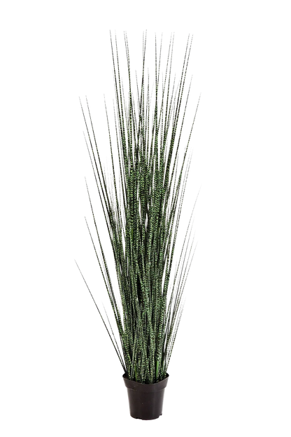 Künstliches Gras - Zebra, 120 cm, Kunstpflanze von aplanta, für drinnen