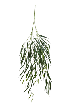 Künstlicher Weide Zweig - Bastian auf transparentem Hintergrund mit echt wirkenden Kunstblättern in natürlicher Anordnung. Künstlicher Weide Zweig - Bastian hat die Farbe Natur und ist 134 cm hoch. | aplanta Kunstpflanzen
