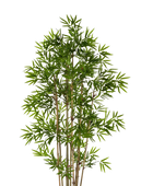 Künstlicher Bambus - Lotta | 200 cm