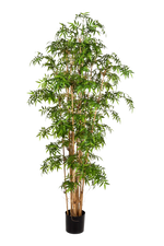 Künstlicher Bambus - Lucia, 200 cm, Kunstbaum von aplanta, mit Echtholzstamm, in Natur, für drinnen