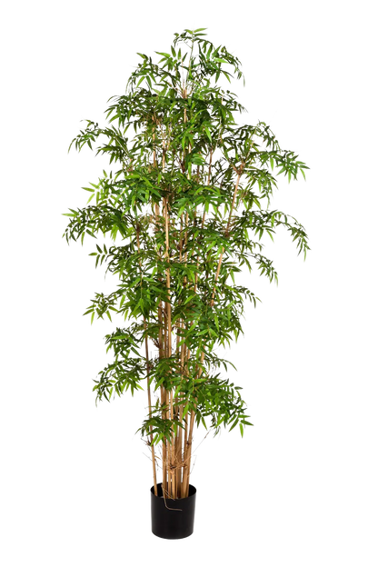 Künstlicher Bambus - Lucia, 200 cm, Kunstbaum von aplanta, mit Echtholzstamm, in Natur, für drinnen