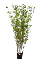 Künstlicher Bambus - Louis auf transparentem Hintergrund mit echt wirkenden Kunstblättern. Diese Kunstpflanze gehört zur Gattung/Familie der "Bambuse" bzw. "Kunst-Bambuse".