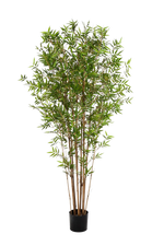 Hochwertiger Kunstbambus auf transparentem Hintergrund mit echt wirkenden Kunstblättern in natürlicher Anordnung. Künstlicher Bambus - Lucas hat die Farbe Natur und ist 150 cm hoch. | aplanta Kunstpflanzen