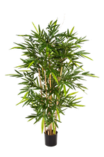 Hochwertiger Kunstbambus auf transparentem Hintergrund mit echt wirkenden Kunstblättern in natürlicher Anordnung. Künstlicher Bambus - Melina hat die Farbe Natur und ist 120 cm hoch. | aplanta Kunstpflanzen