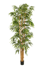 Künstlicher Bambus - Marlon auf transparentem Hintergrund mit echt wirkenden Kunstblättern. Diese Kunstpflanze gehört zur Gattung/Familie der "Bambuse" bzw. "Kunst-Bambuse".
