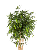 Künstlicher Bambus - Maxim auf transparentem Hintergrund mit echt wirkenden Kunstblättern. Diese Kunstpflanze gehört zur Gattung/Familie der 