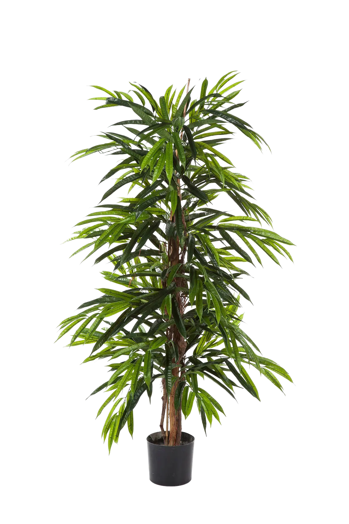 Künstliche Longifolia - Maurice | 180 cm