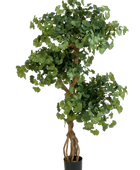 Künstlicher Gingko - Titus auf transparentem Hintergrund mit echt wirkenden Kunstblättern in natürlicher Anordnung. Künstlicher Gingko - Titus hat die Farbe Natur und ist 145 cm hoch. | aplanta Kunstpflanzen