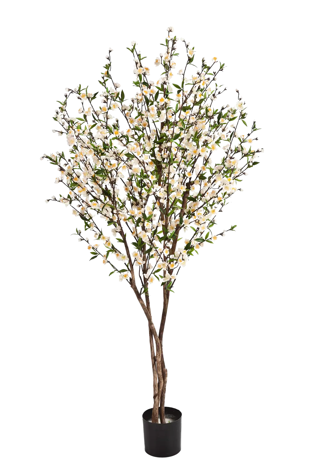 Künstlicher Kirschbaum - Willi auf transparentem Hintergrund mit echt wirkenden Kunstblättern. Diese Kunstpflanze gehört zur Gattung/Familie der "Kirschbäume" bzw. "Kunst-Kirschbäume".