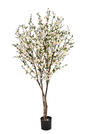 Künstlicher Kirschbaum - Willi auf transparentem Hintergrund mit echt wirkenden Kunstblättern in natürlicher Anordnung. Künstlicher Kirschbaum - Willi hat die Farbe Creme und ist 140 cm hoch. | aplanta Kunstpflanzen
