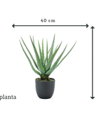 Künstliche Aloe - Penelope | 35 cm