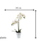 Künstliche Orchidee - Leonard | Real Touch | 65 cm