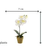 Künstliche Orchidee - Louisa | 25 cm