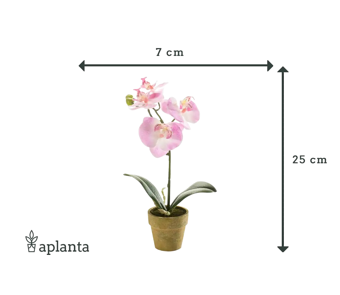 Künstliche Orchidee - Lynn | 25 cm