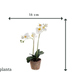 Künstliche Orchidee - Nika | 56 cm