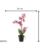 Künstliche Orchidee - Liam | 60 cm